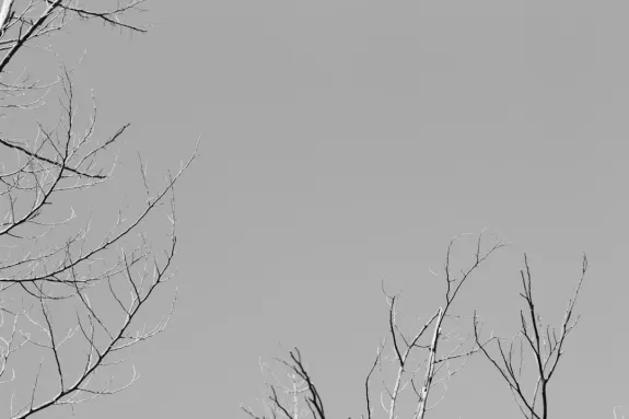 XCasino Kaszinó Támogatás